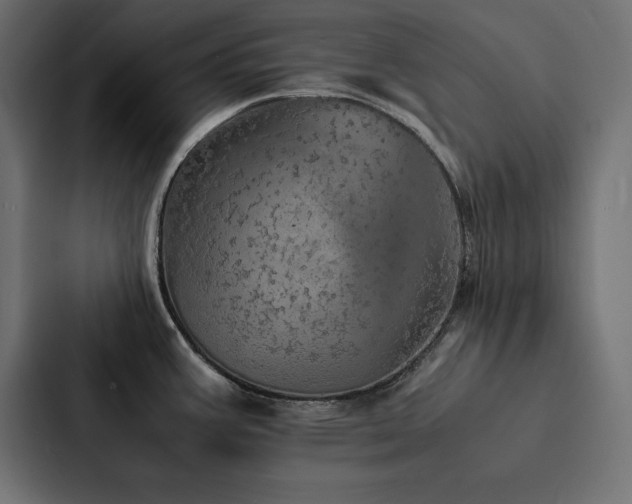 X0000088231387200705151444