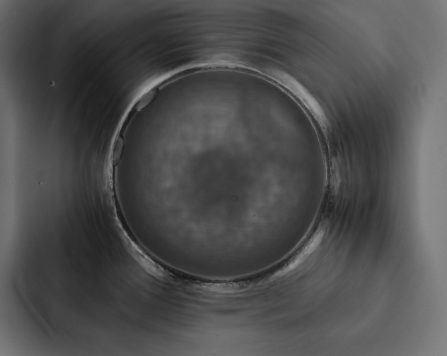 X0000088231388200705151444