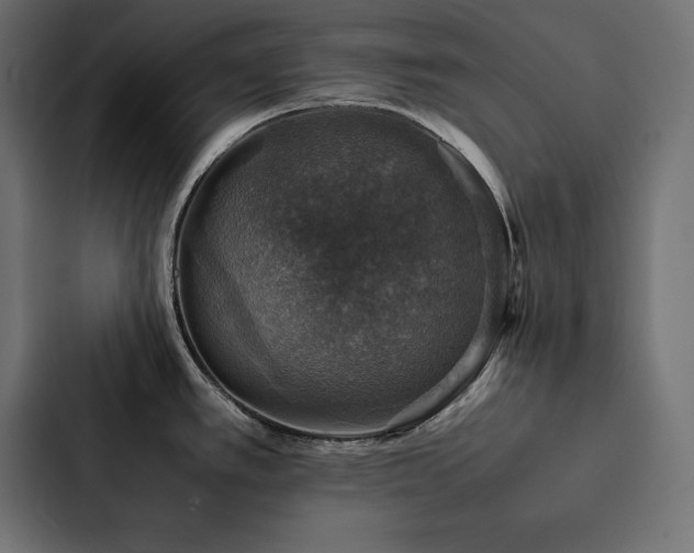 X0000088231389200705151444