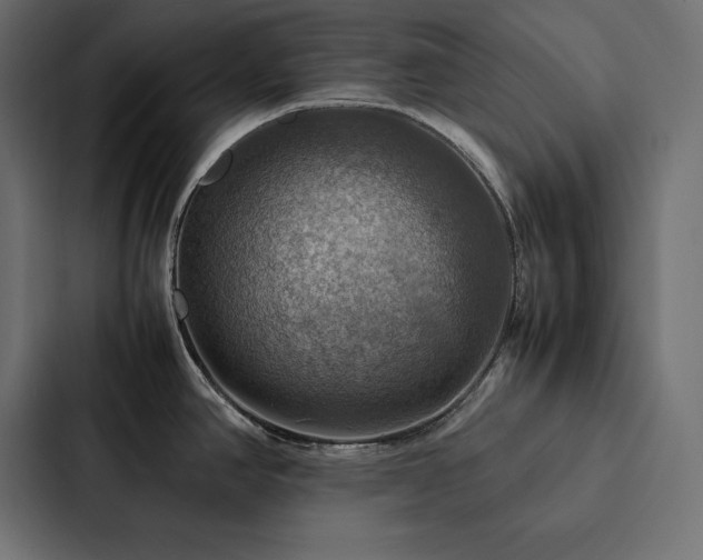 X0000088231390200705151444