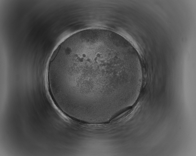 X0000088231391200705151444