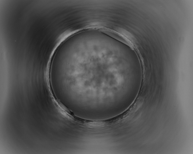 X0000088231392200705151444
