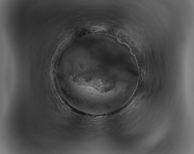 X0000088231393200705151443