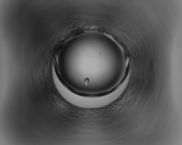 X0000088231394200705151443