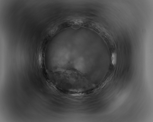 X0000088231395200705151443