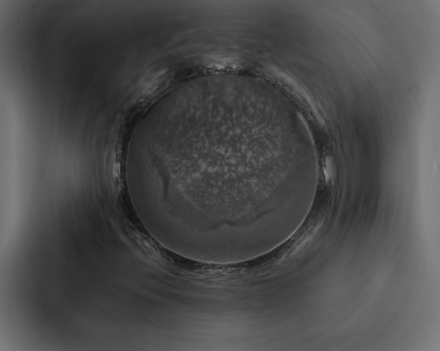X0000088231396200705151443