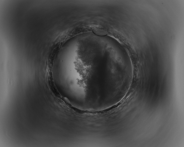 X0000088231397200705151443