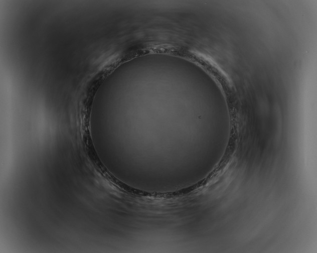 X0000088231399200705151443