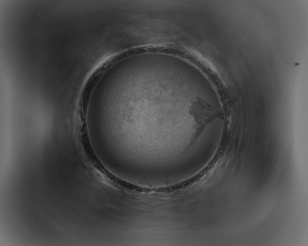 X0000088231400200705151443