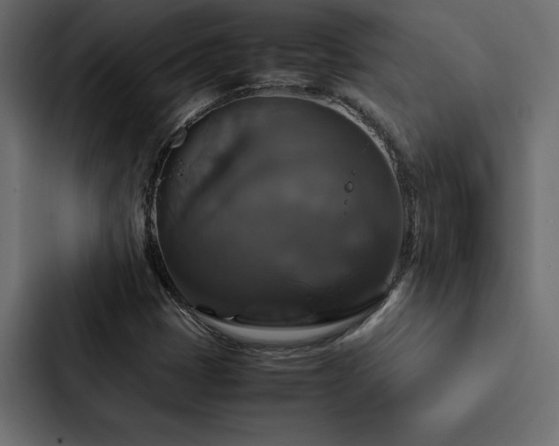 X0000088231401200705151443