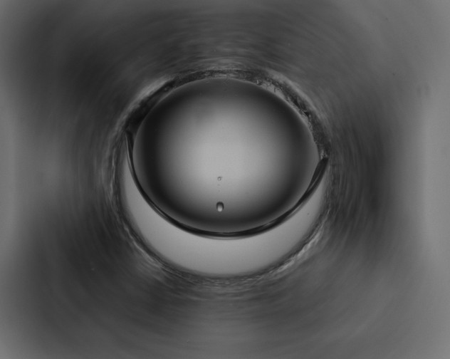 X0000088231402200705151443