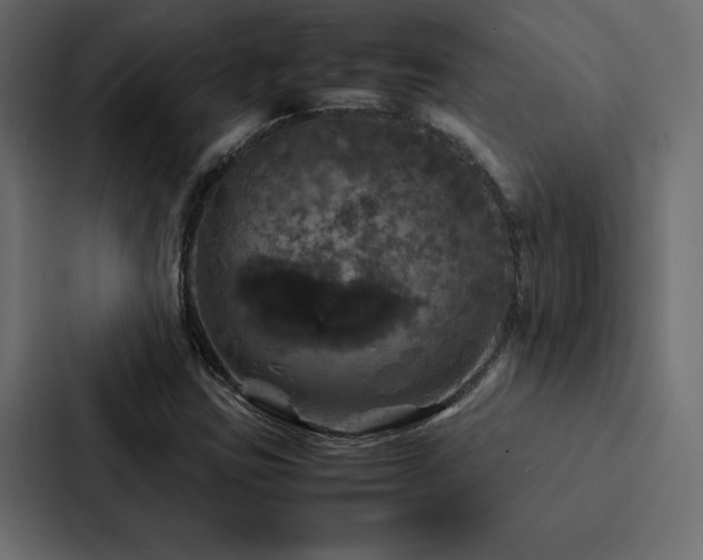 X0000088231403200705151443