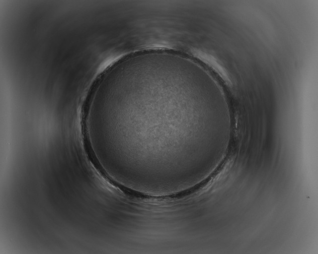 X0000088231404200705151443