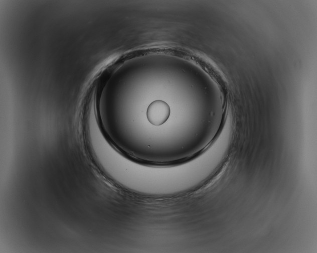 X0000088231406200705151443