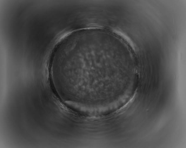 X0000088231407200705151443