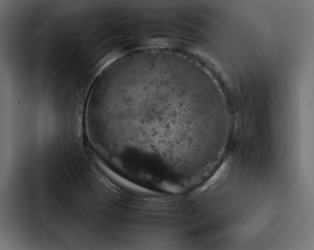 X0000088231409200705151443