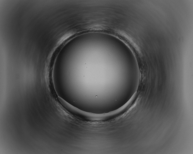 X0000088231410200705151443