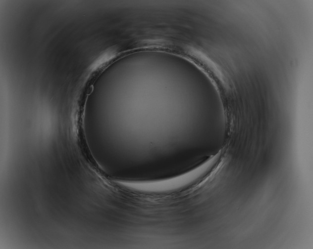 X0000088231411200705151444