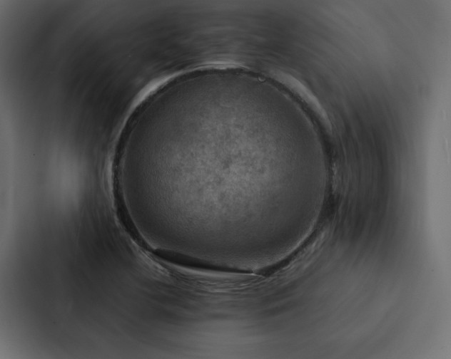 X0000088231412200705151444