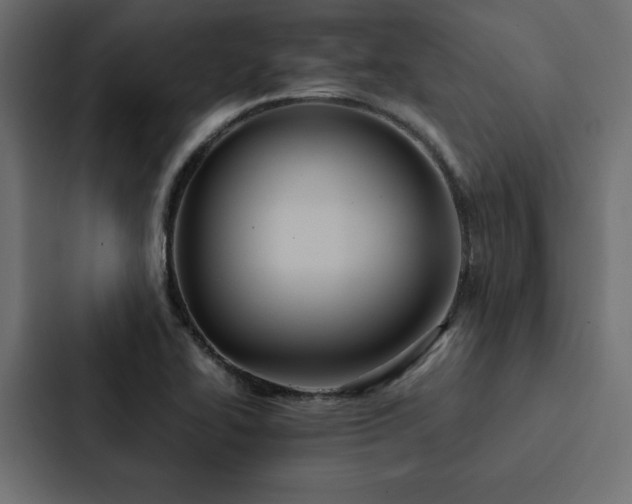X0000088231414200705151444
