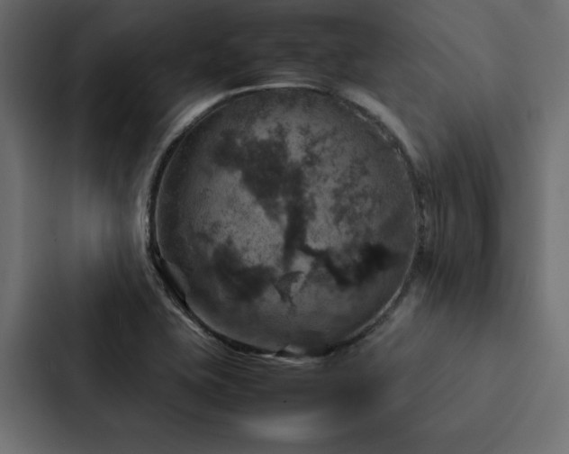 X0000088231415200705151444