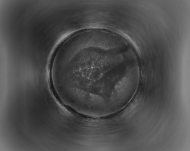 X0000088231416200705151444