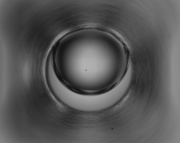 X0000088231418200705151444