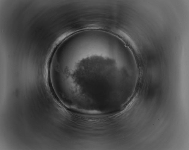 X0000088231419200705151444