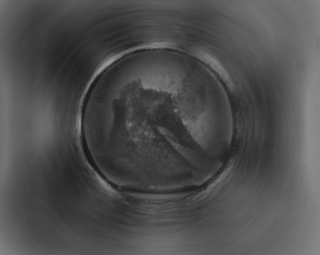 X0000088231420200705151444