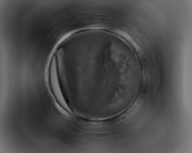 X0000088231421200705151444