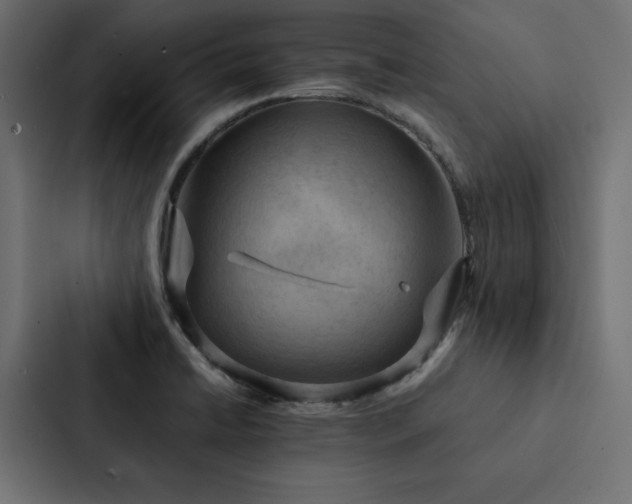 X0000088231422200705151444