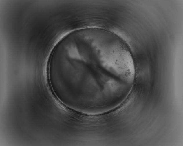 X0000088231423200705151444