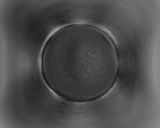 X0000088231424200705151444