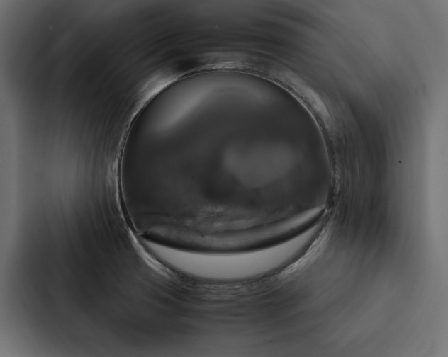 X0000088231425200705151444