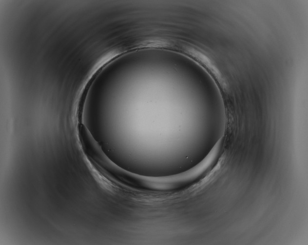 X0000088231426200705151444