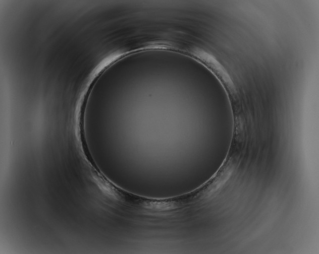 X0000088231427200705151444