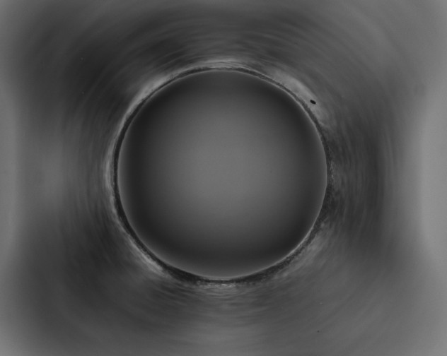 X0000088231428200705151444