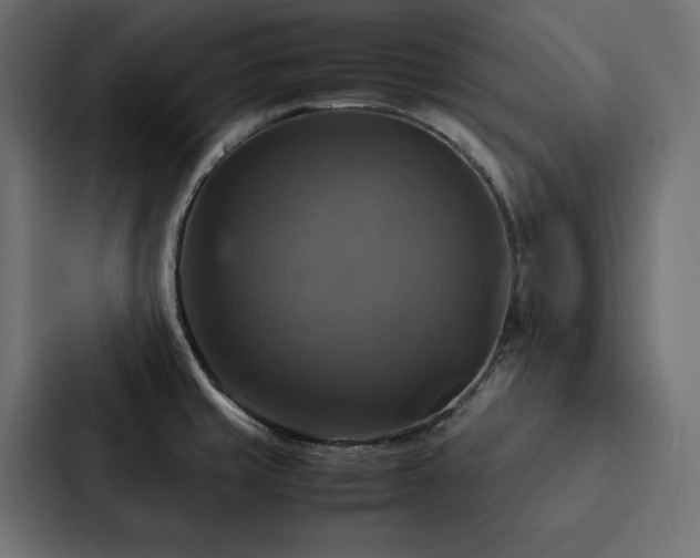 X0000088231429200705151444