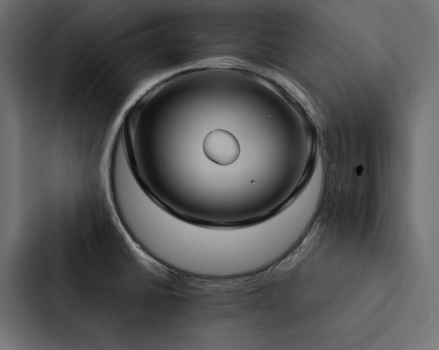 X0000088231430200705151444