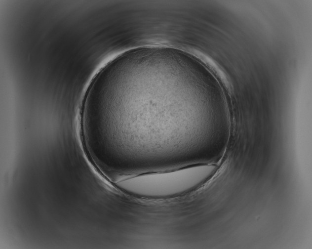 X0000088231432200705151444