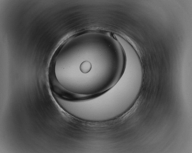 X0000088231434200705151444