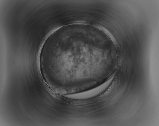 X0000088231435200705151444