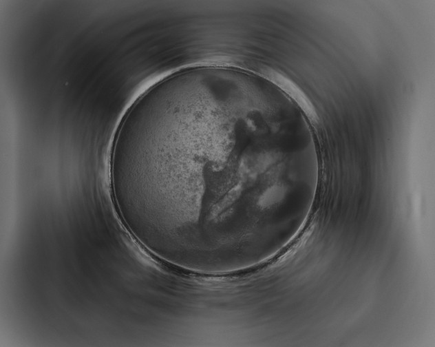 X0000088231436200705151444