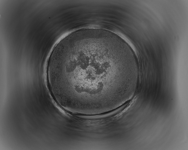 X0000088231437200705151444
