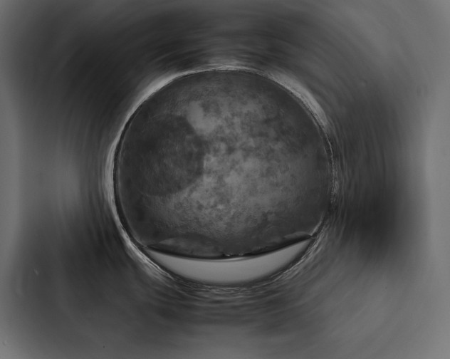 X0000088231439200705151444