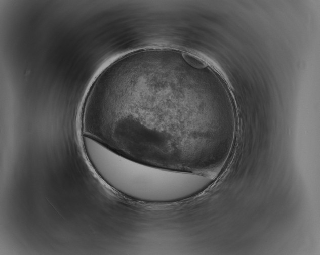 X0000088231440200705151444