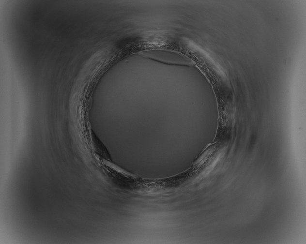X0000088231441200705151443