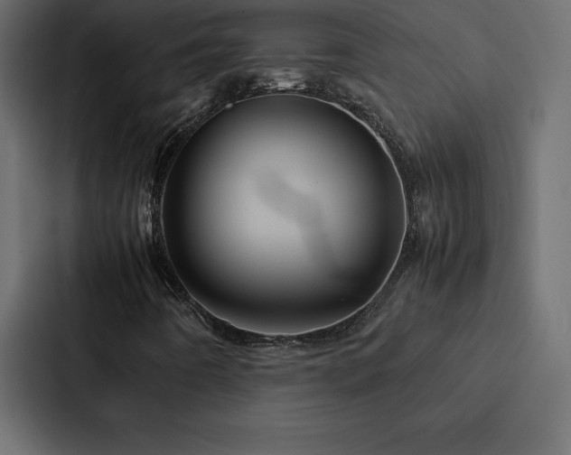X0000088231442200705151443