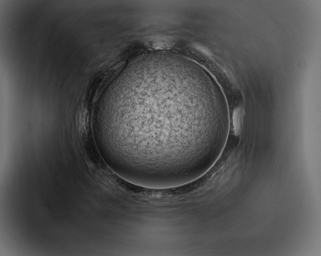 X0000088231443200705151443