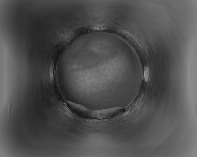X0000088231444200705151443
